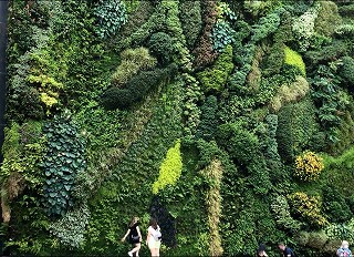 直接買付 アクリル 印象派 海景 地中海 バルセロナ（ギャラリー